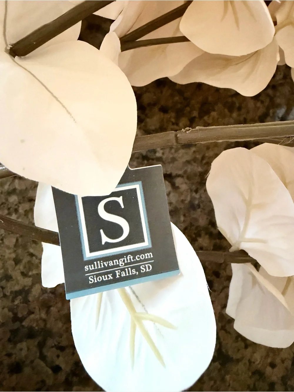 Sullivans Faux Eucalyptus Stems Set of 8 Ivory 35.5” NWT
